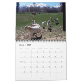 Ranch Life Kalender (Mär 2027)