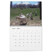 Ranch Life Kalender (Mär 2026)