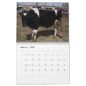 Ranch Life - Rinder Kalender (Feb 2026)