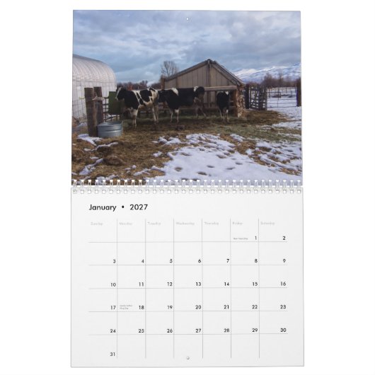 Ranch Life - Rinder Kalender (Jan 2027)