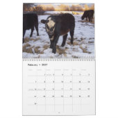 Ranch Life - Rinder Kalender (Feb 2027)