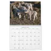 Ranch Life v2 Kalender (Mär 2026)