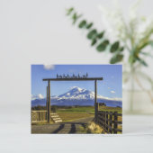 RANCH VIEW OF SHASTA POSTKARTE (Stehend Vorderseite)
