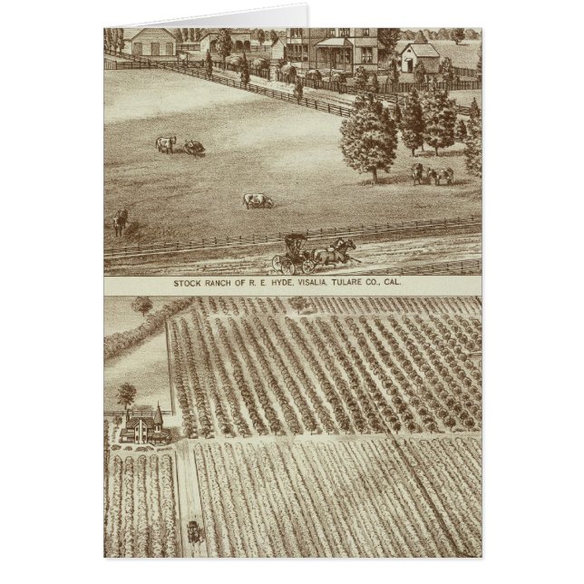 Ranches, Visalia, Tulare, Cal (Vorne)