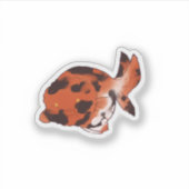 Ranchu goldfish sticker (Vorderseite)