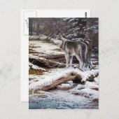 Rand der Nachtpostkarten Postkarte (Vorne/Hinten)