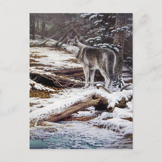 Rand der Nachtpostkarten Postkarte (Vorderseite)