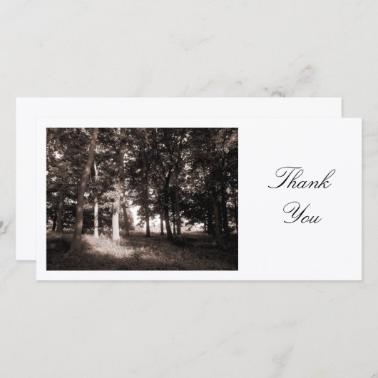 Rand des Waldes - Danke (Vorne/Hinten)