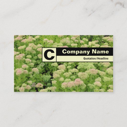 Rand Monogram - Sedum (Herbstfreude) Visitenkarte (Vorderseite)