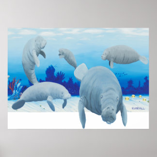 Randalls Manatees Poster