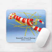 Randalls Pistolen-Garnele Mousepad (Mit Mouse)