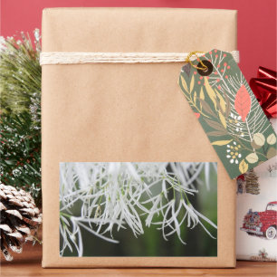 Randbaum (Chionanthus virginicus) Rechteckiger Aufkleber