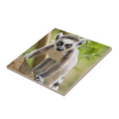 Rändellemmchen Fliese (Seite)