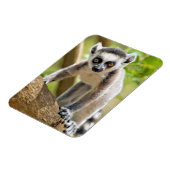 Rändellemmchen Magnet (Linke Seite)