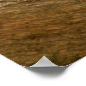 Rändellemmchen Poster (Ecke)