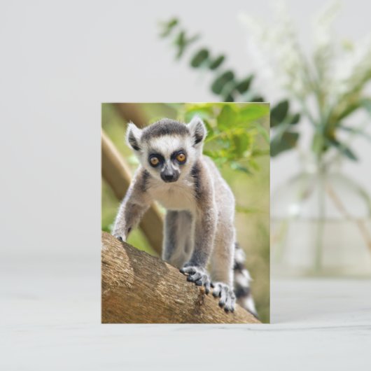 Rändellemmchen Postkarte (Stehend Vorderseite)