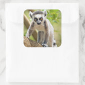 Rändellemmchen Quadratischer Aufkleber (Tasche)