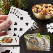 Rändellemmchen Spielkarten (In Situ)