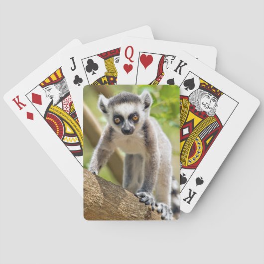 Rändellemmchen Spielkarten (Rückseite)