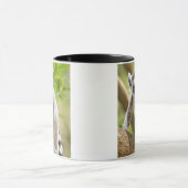 Rändellemmchen Tasse (Zentrum)