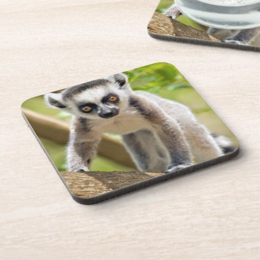 Rändellemmchen Untersetzer (Linke Seite)