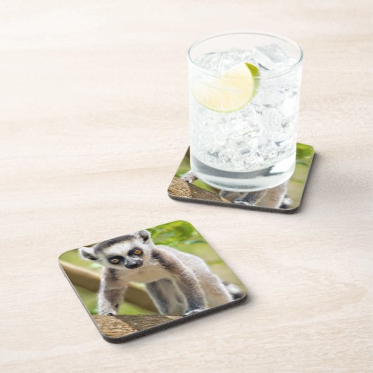 Rändellemmchen Untersetzer (Rechte Seite)