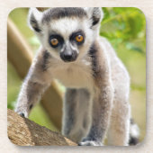 Rändellemmchen Untersetzer (Vorderseite)