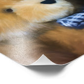 Randolph - Profil Fotodruck (Ecke)