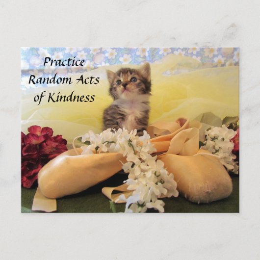 Random Act of Kindess Postcard - Ballerina Cat Postkarte (Vorderseite)