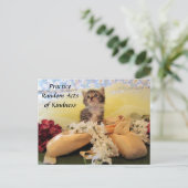 Random Act of Kindess Postcard - Ballerina Cat Postkarte (Stehend Vorderseite)