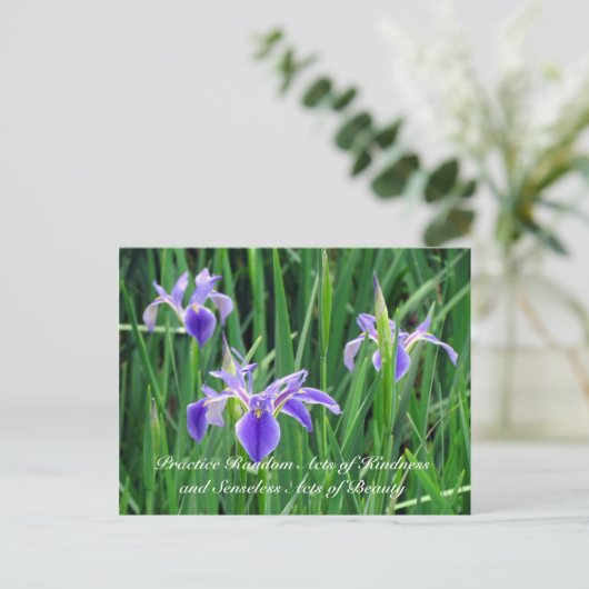 Random Act of Kindess Postcard - Lila Iris Postkarte (Stehend Vorderseite)