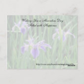 Random Act of Kindess Postcard - Lila Iris Postkarte (Rückseite)