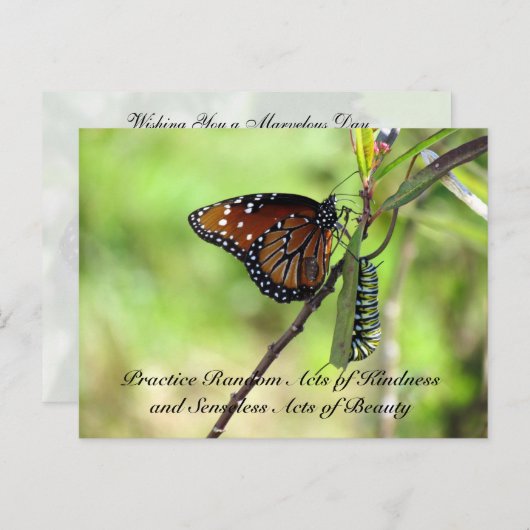 Random Act of Kindess Postcard - Queen Butterfly Postkarte (Vorne/Hinten)