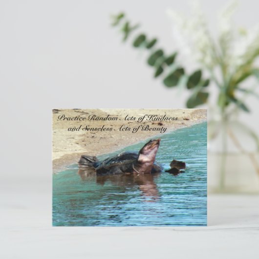Random Act of Kindess Postcard - Soft Muschel Turt Postkarte (Stehend Vorderseite)