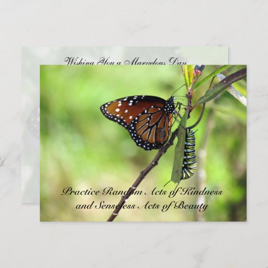 Random Act of Kindness Postcard - Queen Butterfly Postkarte (Vorne/Hinten)