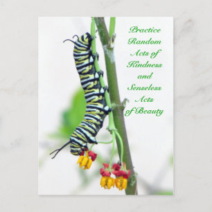 Random Acts of Kindness - Monarch Raupe Postkarte