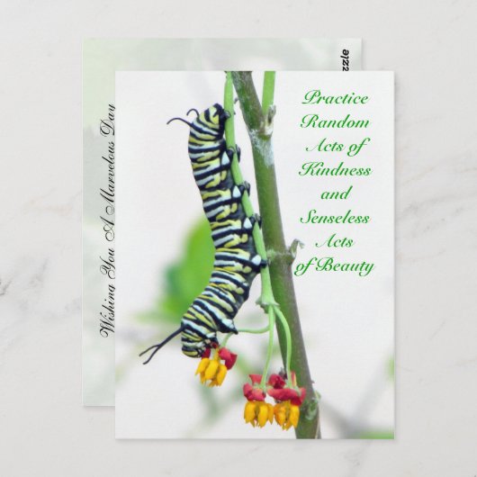 Random Acts of Kindness - Monarch Raupe Postkarte (Vorne/Hinten)