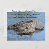 Random Acts of Kindness Postcard - Alligators Postkarte (Vorne/Hinten)