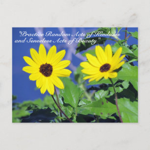 Random Acts of Kindness Postcard - Black Mit Augen Postkarte