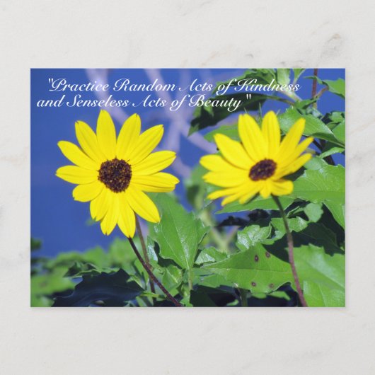Random Acts of Kindness Postcard - Black Mit Augen Postkarte (Vorderseite)