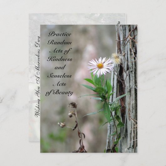Random Acts of Kindness Postcard - Daisy Postkarte (Vorne/Hinten)