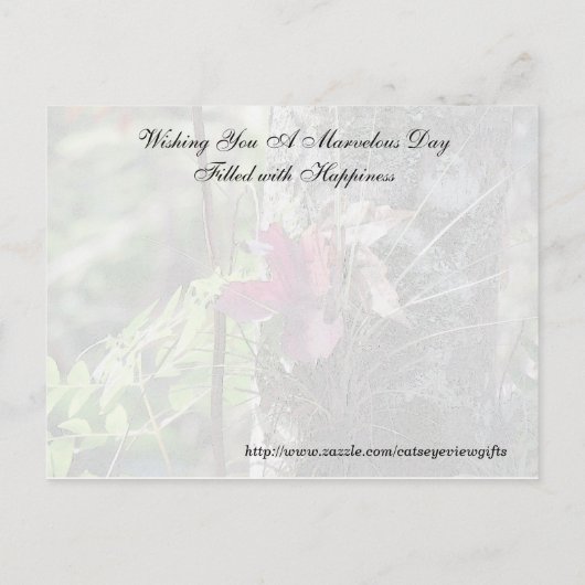 Random Acts of Kindness Postcard - Daisy Postkarte (Rückseite)