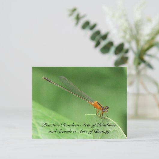 Random Acts of Kindness Postcard - Damselfly Postkarte (Stehend Vorderseite)