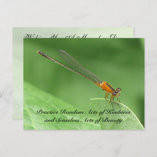 Random Acts of Kindness Postcard - Damselfly Postkarte (Vorne/Hinten)