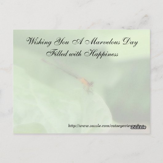 Random Acts of Kindness Postcard - Damselfly Postkarte (Rückseite)