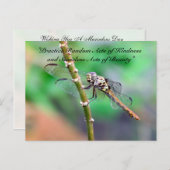 Random Acts of Kindness Postcard - Dragonfly Postkarte (Vorne/Hinten)