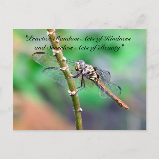 Random Acts of Kindness Postcard - Dragonfly Postkarte (Vorderseite)