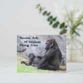 Random Acts of Kindness Postcard - Familie Gorilla Postkarte (Stehend Vorderseite)