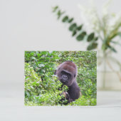Random Acts of Kindness Postcard - Gorilla Edition Postkarte (Stehend Vorderseite)