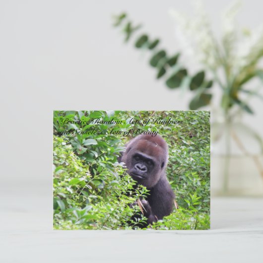 Random Acts of Kindness Postcard - Gorilla Edition Postkarte (Stehend Vorderseite)